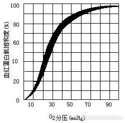 血红蛋白氧合曲线_血红蛋白氧合曲线右移的原因_蛋白曲线血红合氧偏低